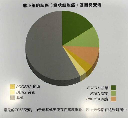 克唑替尼治愈肺癌案例_总胆固醇偏高需长期吃他汀吗_肺癌需长期吃吉非替尼吗