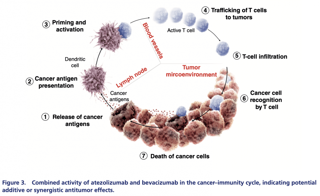 结直肠癌转移性大肠癌珠单抗+联合治疗无法切除的肝细胞癌