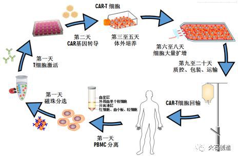 面对癌症，我们到底应该如何战胜它？（附视频）