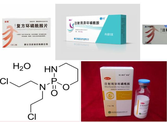 孟加拉珠峰维奈克拉在我国卖多少钱?(图)