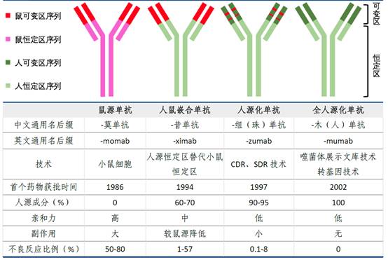 
美国哈佛大学医学部曼教授：美国哈佛大学炸弹级药物贝伐单抗单抗