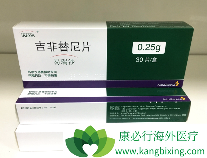 靶向药安罗替尼_靶向药吉非替尼上海产的价格_靶向药贝伐单抗价格