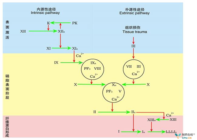 瑞戈胶质母细胞瘤显示出良好整体生存率单抗OS无获益