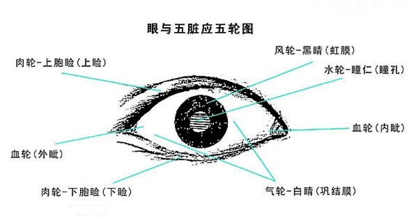 服用奥希替奥希替尼的人中有77％看到肿瘤缩小