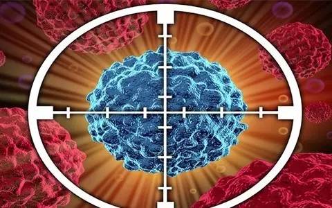 
索拉非尼联合TACE治疗肝细胞癌患者的疗效和安全性？