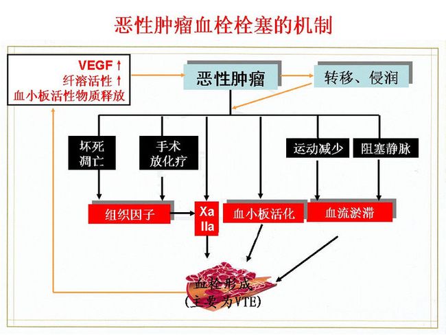 仑伐替尼耐药后吃索拉非尼_索拉非尼耐药后换索坦_赛瑞替尼吃多久会耐药