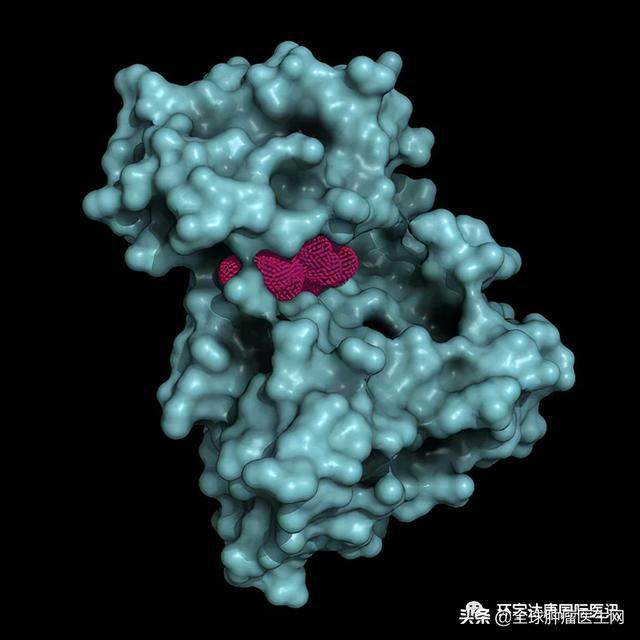 克唑替尼平均耐药时间_结界师奥久尼_一般奥希替尼最久多长时间耐药