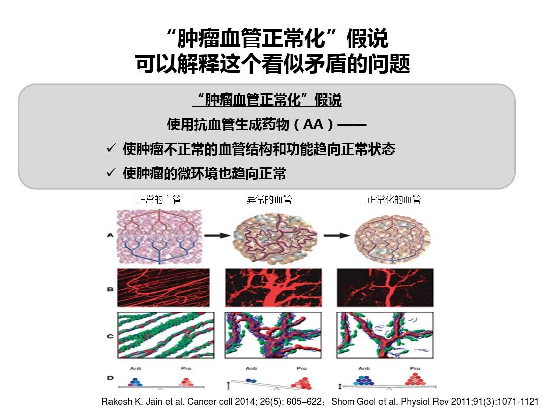 抗血管生成药物在肺癌治疗中的重要性是什么？