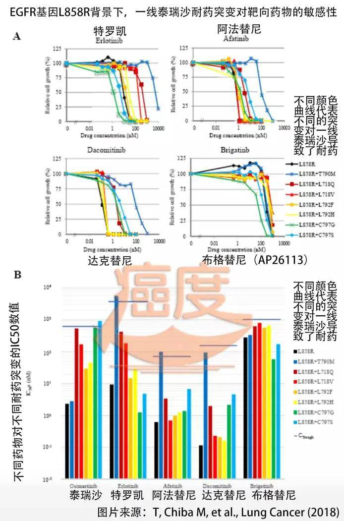 奥希替尼耐药布加替尼_奥希替尼印度版多少钱_奥希替尼印度版怎么买
