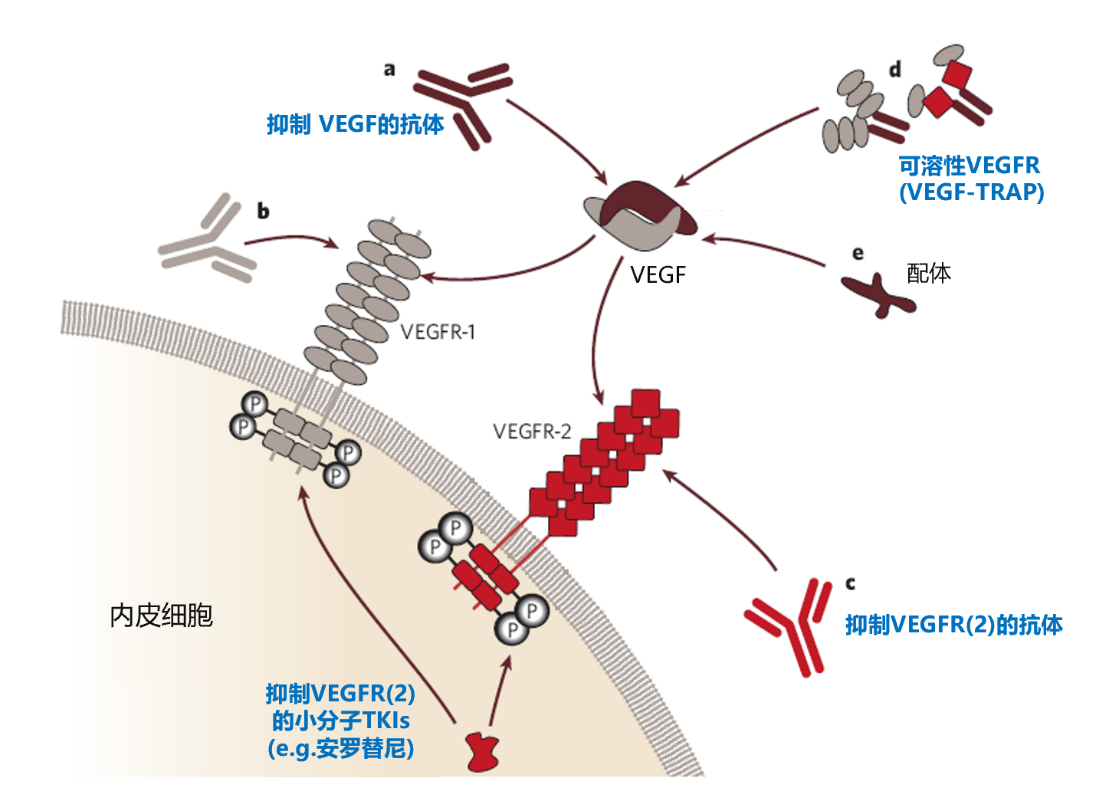 贝伐珠单抗可以报销吗_贝伐珠单抗是药吗_贝伐单抗和贝伐珠单抗