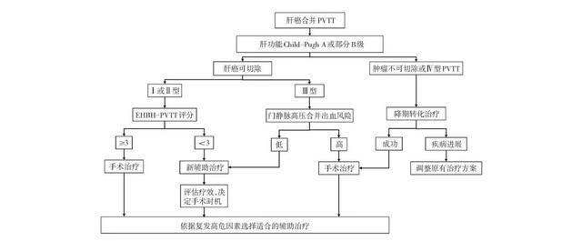 阿帕替尼与索拉菲尼尼的靶向治疗药物