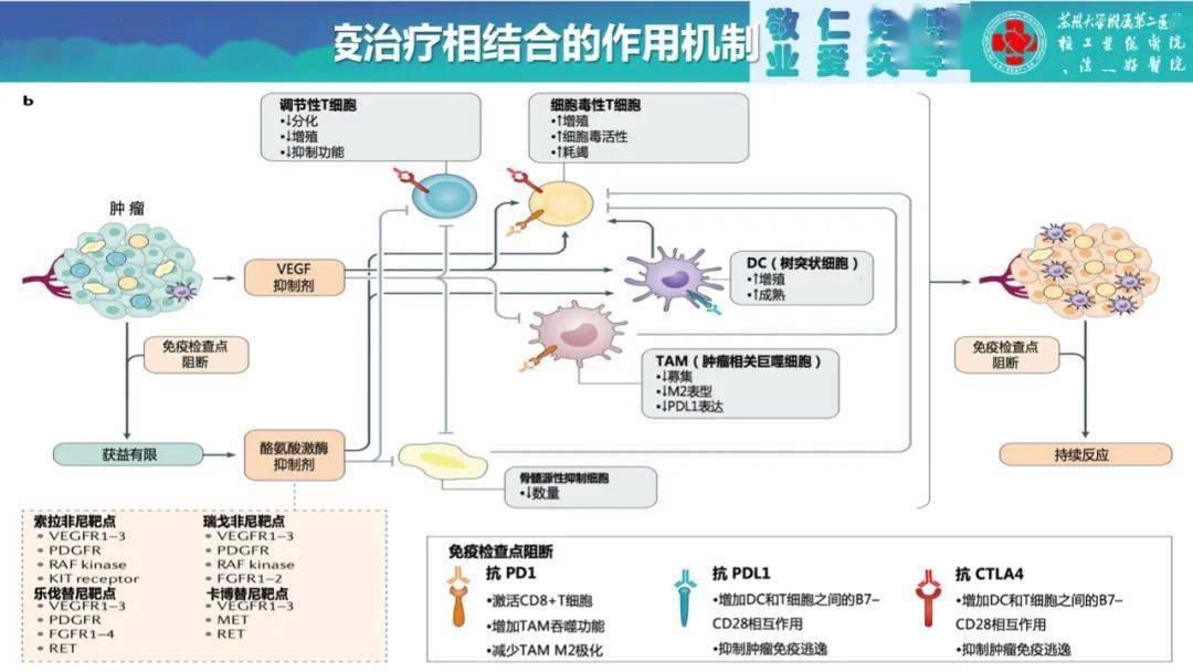 索拉非尼进入医保吗_索拉非尼价格_索拉非尼要做基因检测么