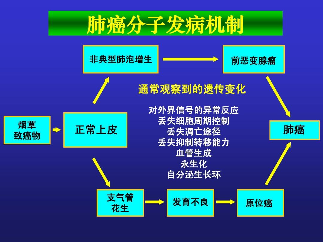 现阶段靶向治疗药物物对肺癌的治治疗效果果如何？