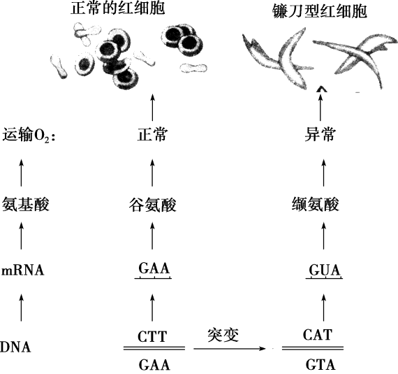 l858r靶向药吉非替尼_苹果酸舒尼替尼有替代药吗_伊马替尼 靶向治疗