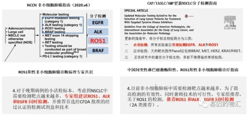 靶向药赠药_l858r靶向药吉非替尼_尼妥珠单抗价格 靶向