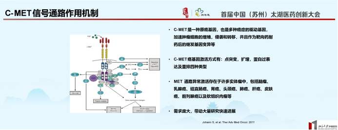 EGFR突变晚期非小细胞肺癌的临床治疗进展与临床决策