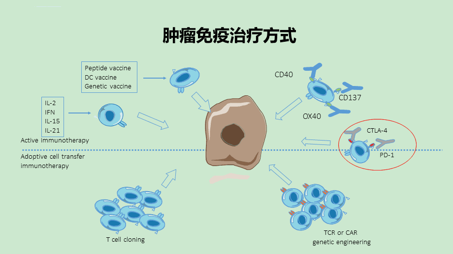 肺鳞癌手术后能用贝伐珠单抗_贝伐珠单抗是靶向药吗_贝伐珠单抗说明书