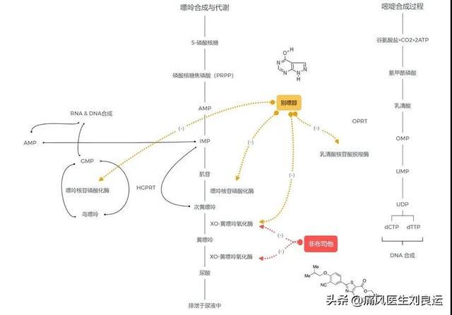 结肠癌晚期 贝伐珠单抗_贝伐单抗对脑转移癌有效_小细胞癌应用贝伐珠单抗