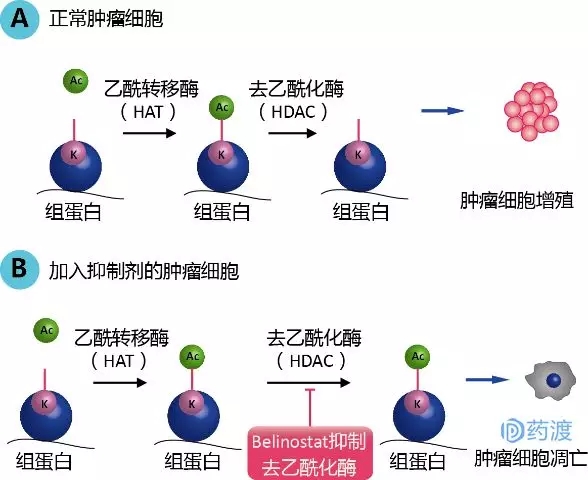 
马文斌教授：肿瘤系统治疗化疗/分子靶向治疗/免疫治疗