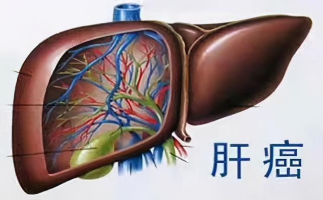 PD-1免疫疗法的理论及理论单抗治疗