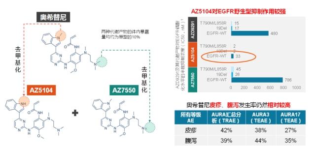 基因检测报告 突变百分比_alk突变吃克唑替尼_基因未突变吃吉非替尼的疗效