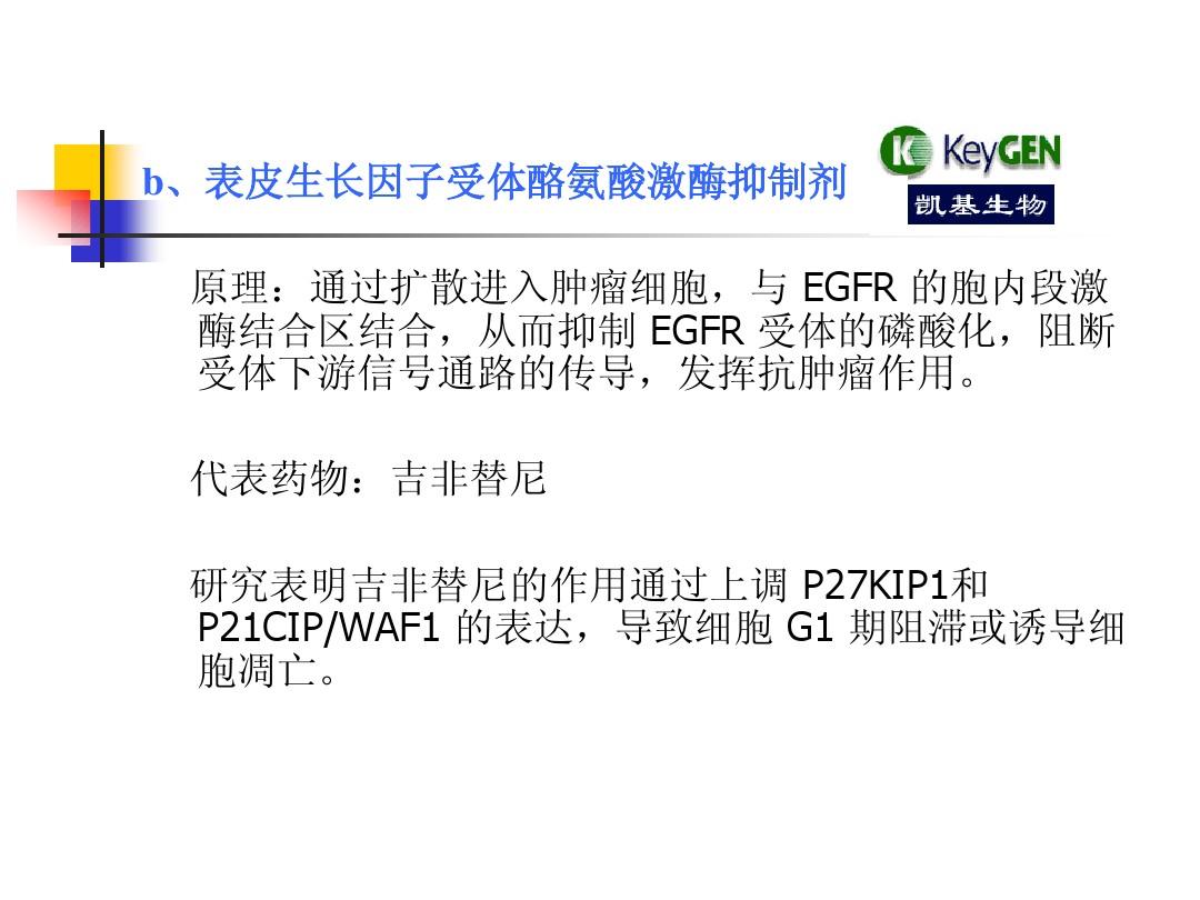 依维莫司是靶向药吗_吉非替尼片就是靶向药吗_ezh2是靶向药吗