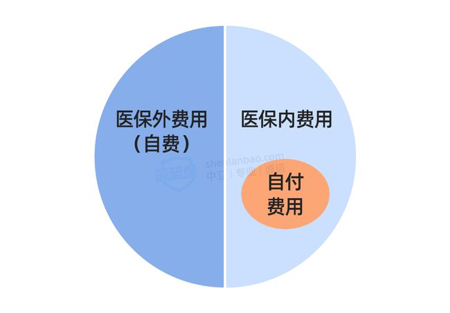 癌症药物贝伐珠单抗在医保报销范围内可抑制VEGF单抗