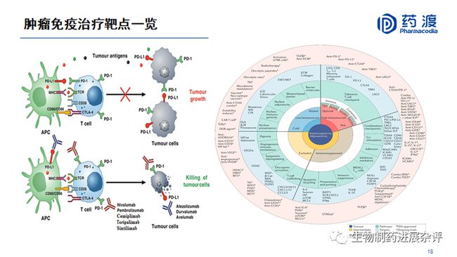 吉非替尼耐药的机制_5-氟尿嘧啶耐药机制及其治疗_细菌产生耐药性的机制