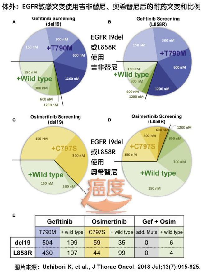 肺癌的二代靶向药，不可逆的抑制主流EGFR突变蛋白