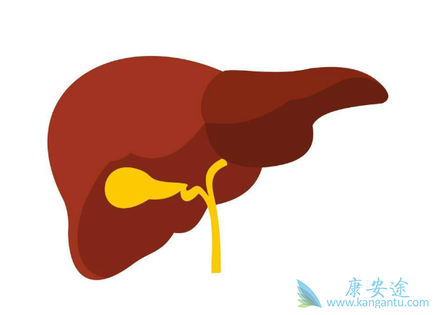 肝常规检查能查癌吗_胆管细胞癌手术成功率_手术后肝细胞癌能吃索拉非尼