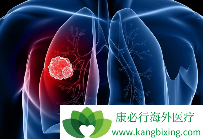贝伐珠单抗价格_头颈部鳞癌用贝伐珠单抗_贝伐珠单抗注射液
