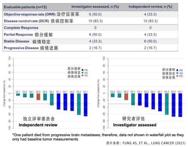 透明细胞癌_吉非替尼片小细胞癌_厄洛替尼片和盐酸厄洛替尼