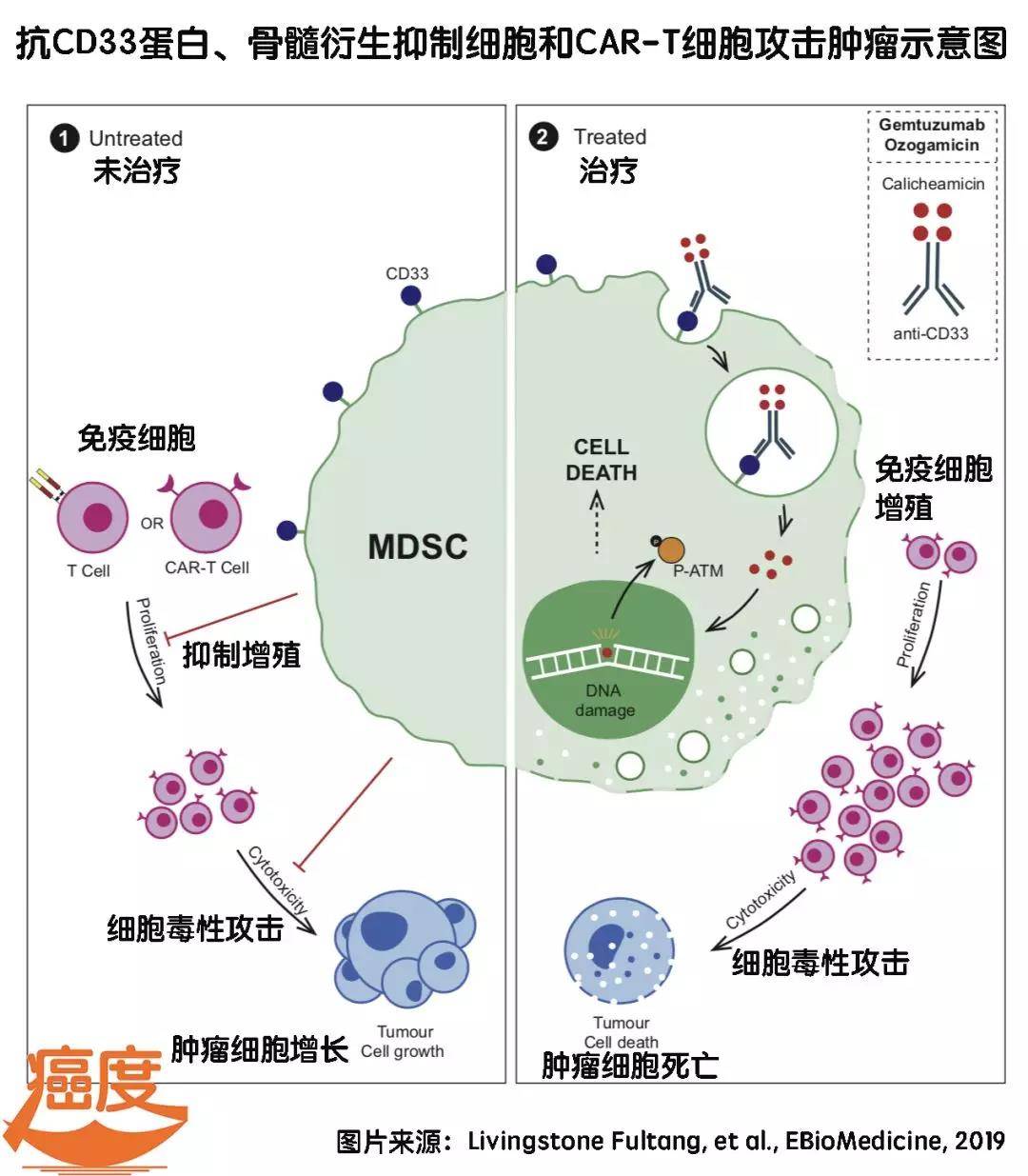 靶向药贝伐单抗价格_贝伐珠单抗注射液_贝伐珠单抗靶向有耐药么