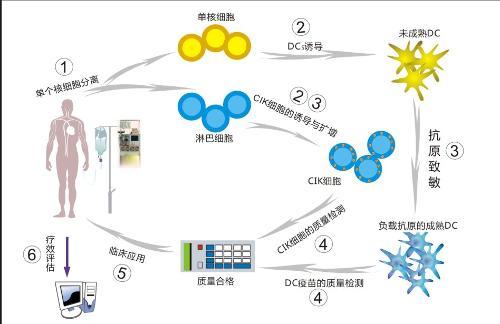 肺癌用什么靶向药_肺癌靶向药 基因突变_靶向药肺癌吉非替尼片