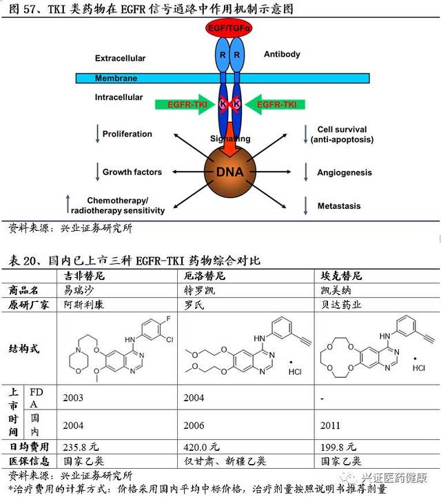 18大癌种靶向药物治疗指南，哪一种才是适合自己的呢？