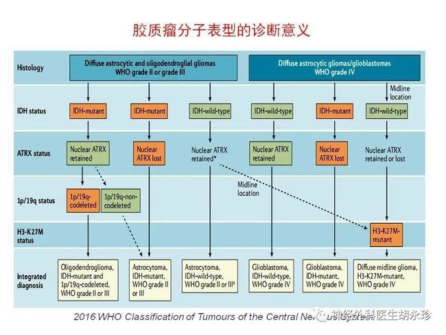 索托拉西布治疗KRAS突变患者的新大门——尼达尼布