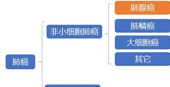 肺癌靶向药医保报销流程，你知道吗？（收藏）