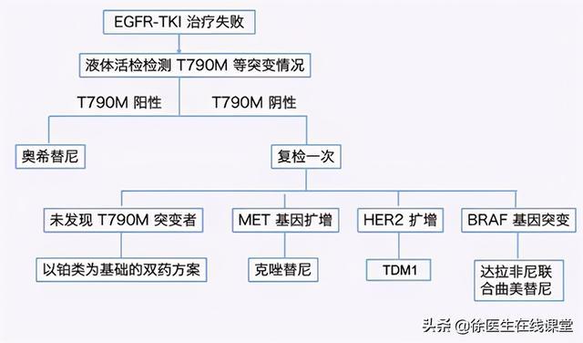 肺原位腺癌 8mm 术后_肺原位腺癌伴微浸润_肺腺癌吉非替尼已耐药怎么办