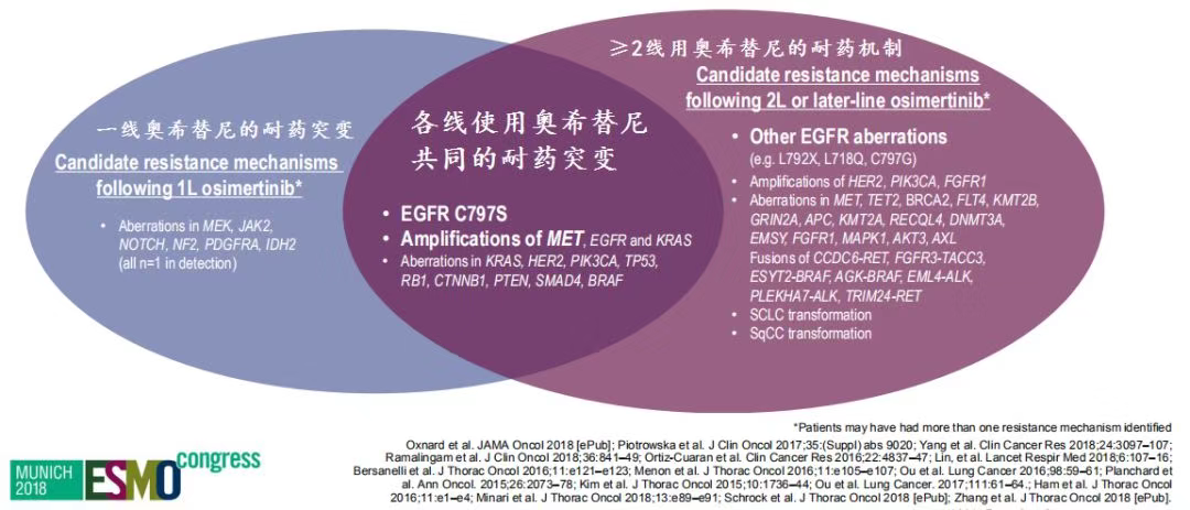 奥希替尼都有哪里产的_奥希替尼印度版怎么买_奥希替尼会抗葯吗