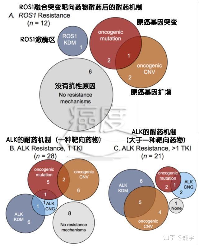 kras突变 肺癌_kras基因突变能吃奥希替尼吗_egfr kras 同时突变