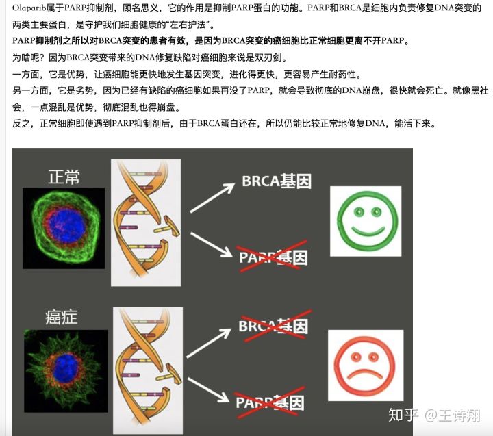 吉非替尼需要检测基因_无创产前基因检测需要空腹吗_肿瘤基因检测需要多久
