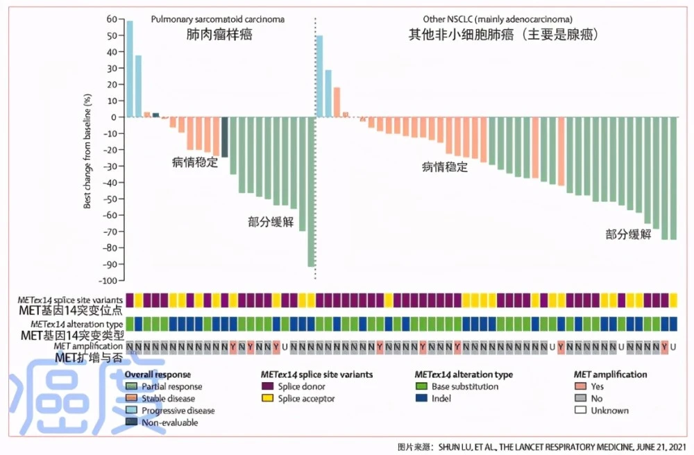 肺癌手术后吃奥希替尼_azd 9291 奥希替尼_肺癌脑转移吃克唑替尼