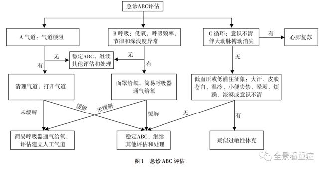 奥希替尼的半衰期是多久_9291奥希替尼价格_印度版奥希替尼