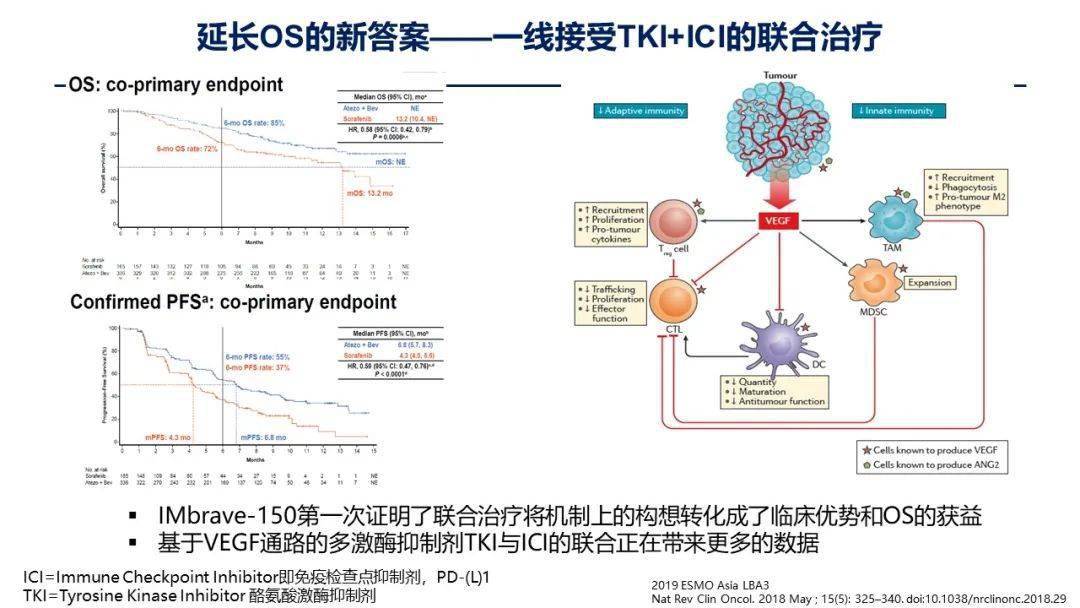 肺癌新药贝伐单抗_贝伐单抗治疗肺癌有效吗_贝伐单抗是靶向药吗