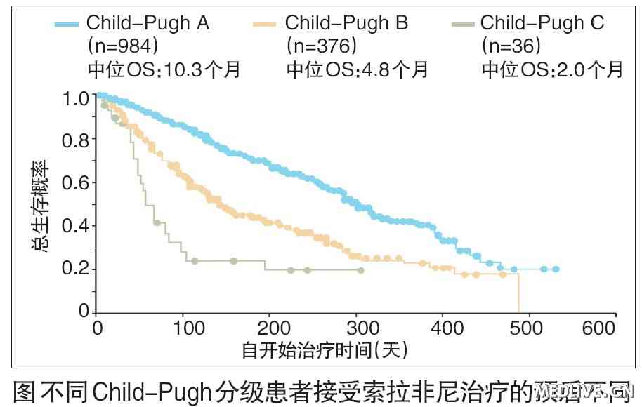 
索拉非尼治疗总体生存率提高了6.5至10.7个月的效果