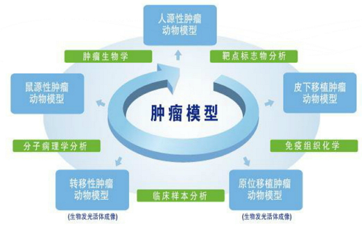 贝伐珠单抗大分子_贝伐珠单抗_贝伐珠单抗4个月后赠药