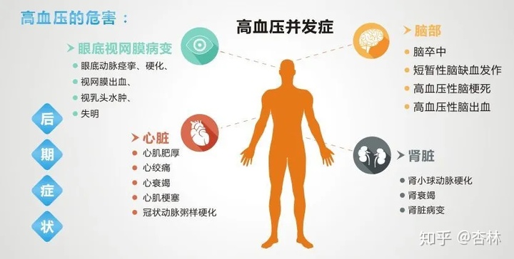 服用索拉非尼对肝功影响_小孩服用灰黄霉片多久检查肝功_索拉非尼 舒尼替尼