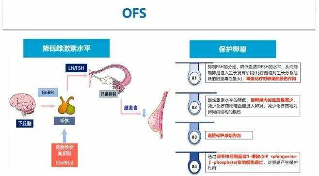 贝伐珠单抗最新价格_贝伐珠单抗可以延长多久生存期_贝伐珠单抗说明书