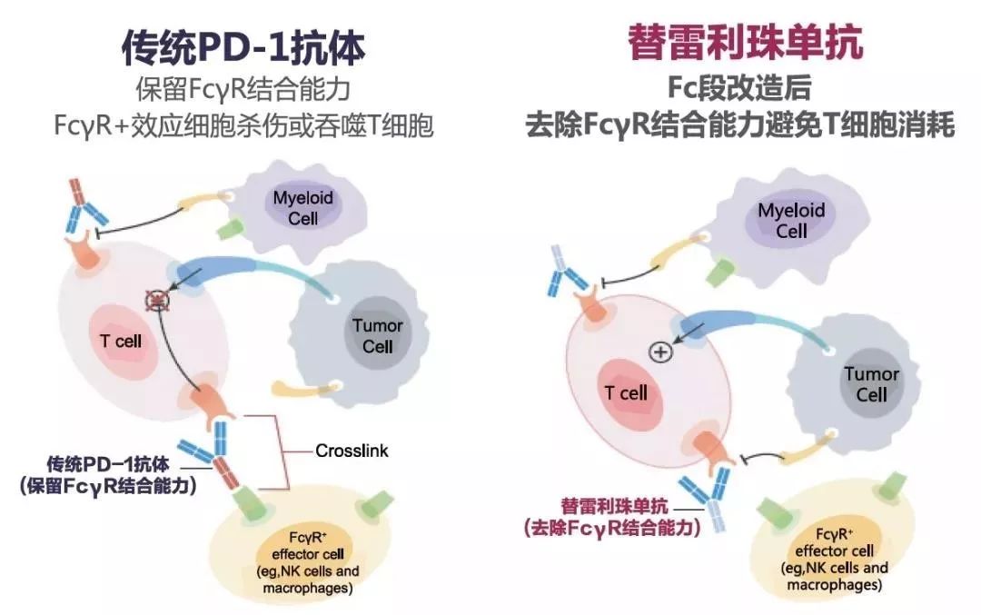 克唑替尼耐药周期_索拉非尼 耐药时间_吉非替尼耐药期