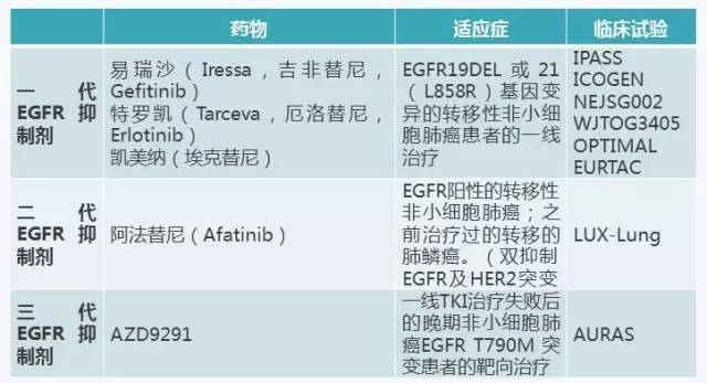 广东医保报销目录新增17种抗癌药物药品肺癌靶向药